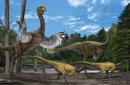 内蒙古发现当今世界上最大似鸟恐龙化石